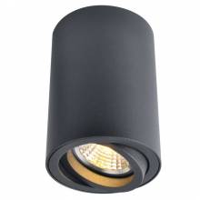 Точечный светильник SENTRY Arte Lamp A1560PL-1BK