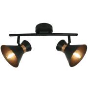 Спот Baltimore Arte Lamp A1406AP-2BK