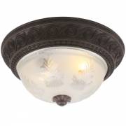 Светильник Piatti Arte Lamp A8006PL-2CK